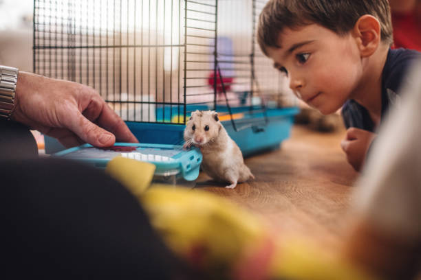 Intégrer les animaux en crèche pour un apprentissage ludique